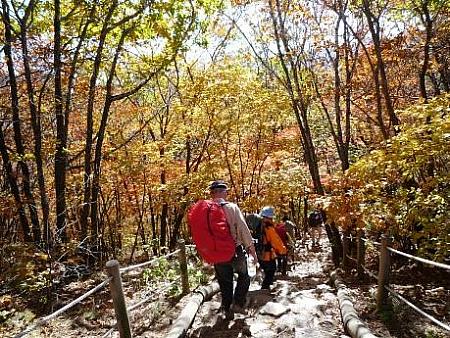 ３０回目の韓国、６回目の雪嶽山！