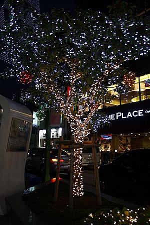 写真で見る第１回クリスマスツリー文化祭り！【２００９年】 釜山クリスマス 釜山クリスマスイベント南浦洞