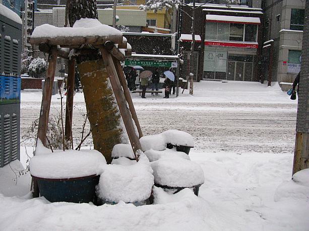 ほら、かなーり積もっているでしょ！？＾＾　ただ今、午前11時現在も弱まることなくさらに降り積もっている雪は、今日の夕方頃までは降り続くとの予報。交通渋滞が予想されますので、空港へ行くバスなどに乗る場合はかなり時間に余裕を持って出発したほうがいいかも、ですよ！そして、足元にも十分お気をつけくださーい！！