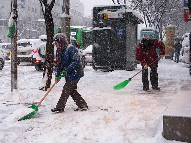 しきりに降る雪に、雪掻きも追いつかない様子！？