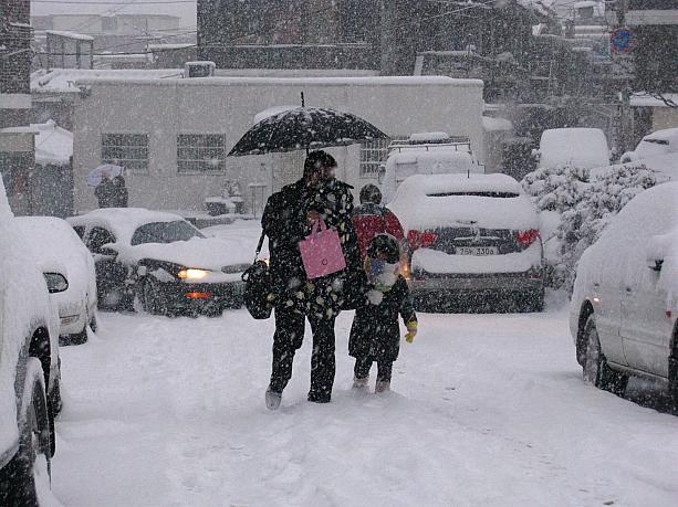 1月2日の明け方にも降って少し積もった雪ですが、こんなに降るのは久しぶり！？あ、足が埋まる～～！