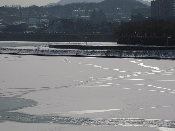 これが漢江なのに、水面が見えないくらい雪で真っ白！所々見える水面みたいなのは、凍ってる！