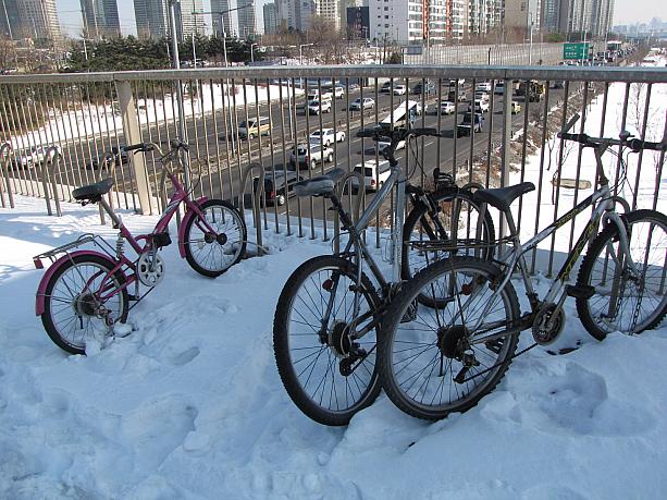 パキパキの氷や自転車あります