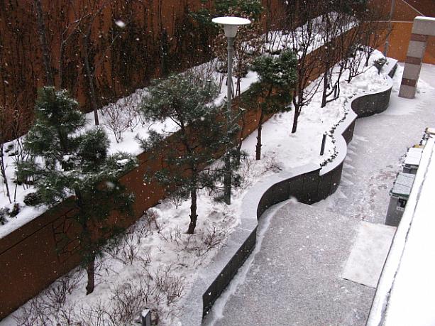 なんかここのトコロ雪の写真が多いような気がしますが（絶対にそう！^^；）今日も早朝からパラパラと雪が舞ってました^^；キレイな景色ですが、ナビは「またか・・・」と少しテンションダウン^^；