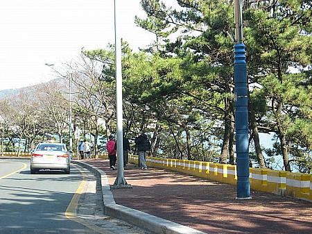 海岸線の散歩道以外にも上の車道の散歩道も釜山ではとても有名な名品散歩道といわれてます！ 