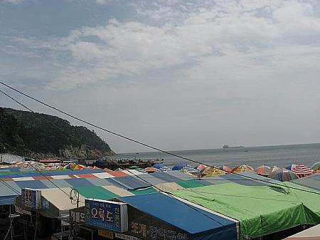 韓国でダイビングパート3 スキューバダイビング 釜山の海 影島チャガルチマダン