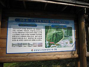 韓国でアウトドア！キャンプ体験 キャンプ 宜寧群碧渓渓谷釜山でアウトドア
