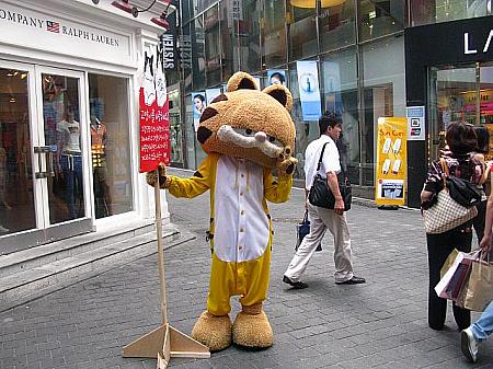中央通りでは、猫カフェ「コヤンイタラッパン」の猫が宣伝中～