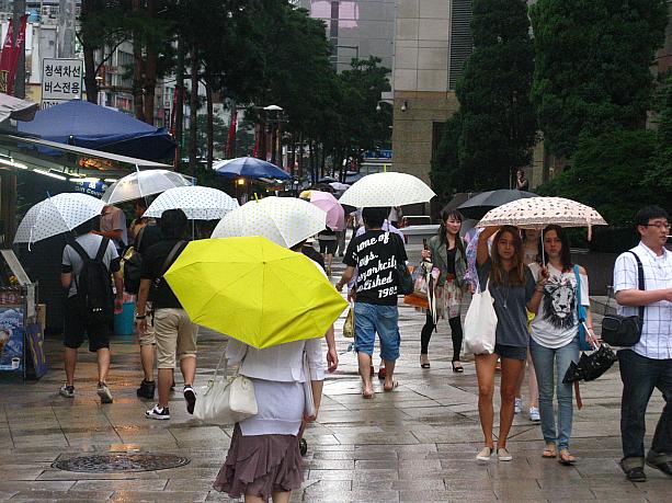 やっと降り出した梅雨の雨。予報によるとこの雨は、週末いっぱい続くそう。