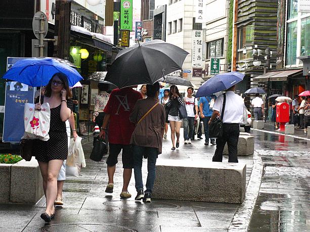 昨日までは降ったり止んだりのお天気だったけれど、今日は朝からずっと雨～。
