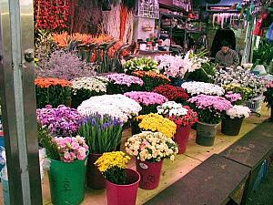 意外と韓国にはお花屋さんが少ないんです！