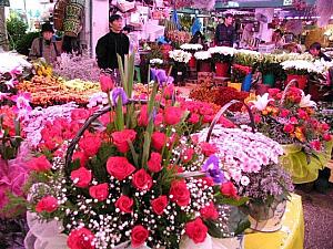 意外と韓国にはお花屋さんが少ないんです！