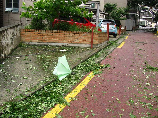 台風7号の影響で、明け方頃から風がとっても強くなったソウル。朝にはこんな状態に～！