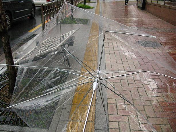 ナビの傘もこんなことに～＾＾；　正午頃現在、台風は通過したようで風も雨も大分おさまっていますョ。