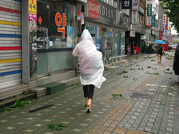 ソウルでは、雨はそんなに降らなかったけれど、とにかく強い風がビュービュー！<br>ちょうど出勤、登校の時間帯でしたが、地下鉄が止まったりもしたんですよ。