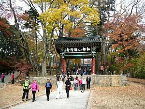 釜山から韓国ドラマのロケ地巡り！ ツアー ロケ地 韓国ドラマ 善徳女王 チャングム エデンの東 ソン・スンホンイ・ヨンエ