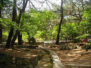 散歩のできる釜山市内ＢＥＳＴホテル 散歩できる釜山のホテル 市場 景色 旅館宿泊施設