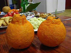 ハルラボンに似た柑橘<br>（名前は何だったっけ！？）