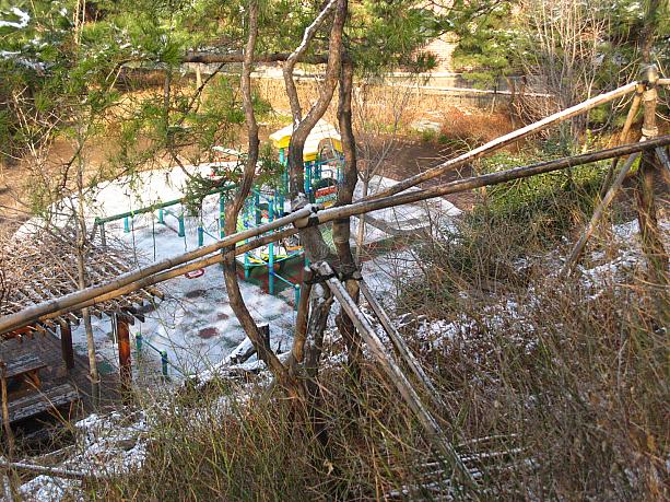 公園にも雪！
