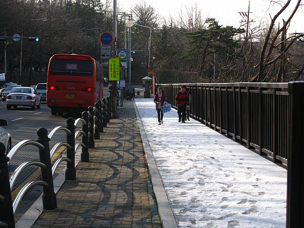歩道の一部は真っ白～
