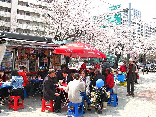 お馴染みのメニューも、桜の下なら格別？！