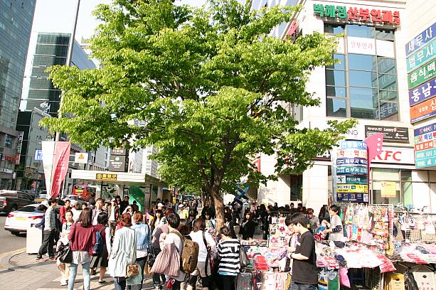 ちょっと前まで枝が丸見えだった街路樹も、いつのまにか立派な葉っぱでモリモリに～！<br>今日は悩まされた黄砂もだいぶ軽減して歩きやすいかんじです＾＾