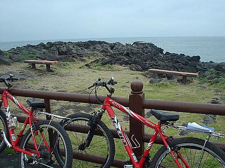 ボリの済州島旅行記－その１！自転車ツーリング編 済州島 済州島グルメ 済州島の食堂済州島名物