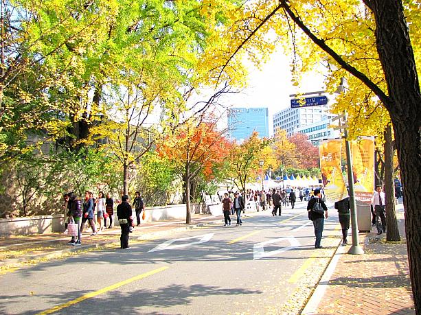 このお祭りは今月５日まで行われるそうですよ～！きれいな紅葉と、お祭りの美味しい屋台に公演に。魅力的な秋のトルダムキルです＾＾