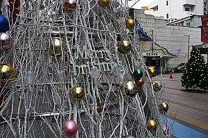 写真で見る第３回クリスマスツリー文化祭り！【２０１１年】 クリスマス イルミネーション イブ ツリー ナンポドン イベント お祭り南浦洞