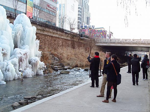 撮影してる人もちらほら。