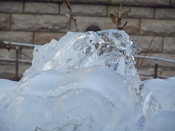 滝の天辺にはこんなきれいな透き通ったガラスのような氷も。