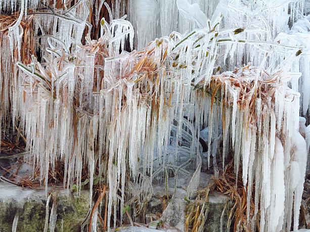 ここまで来るともはや芸術！？