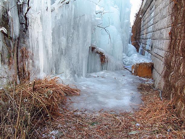 滝のふもとの水溜りもすっかりこのように。