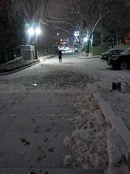 語学堂前の雪道