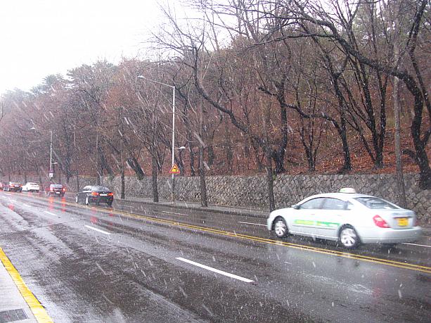 今朝のソウルはマイナス１度。四月だというのに雨と雪が降りました。「4月の雪」なんて映画を思い出したり。
