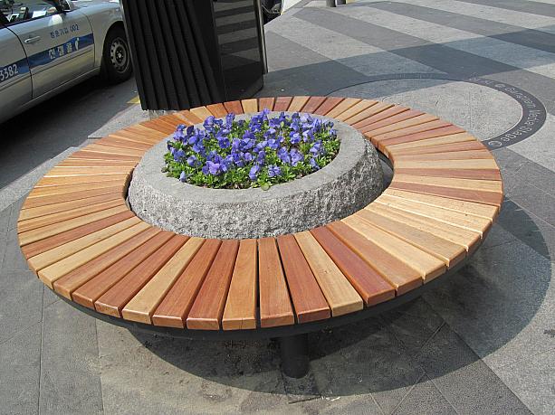 駅の近くの大通りのベンチに、冬は何もありませんでしたが、花が植えてあって、ついに春が来た～って感じがしますね