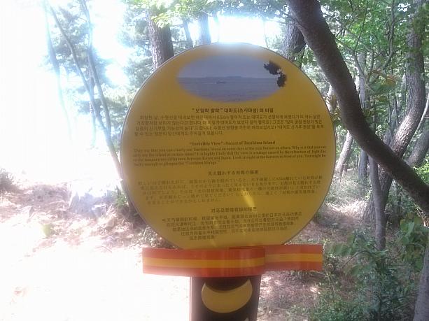 対馬が見える場所！と書かれた看板！