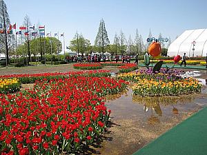 2012高陽（コヤン）国際花博覧会に行ってきました！ 一山 高陽 花博 湖水公園博覧会