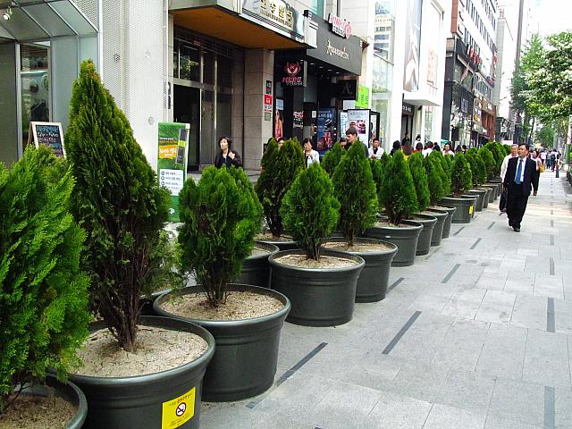 Why 江南駅前の歩道の真ん中に 大きな植え込みがずら っと ソウルナビ