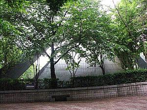 木の奥には韓米修交100周年記念塔