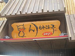 猫の絵がカワイイこちらの「しばらく」も日本式居酒屋