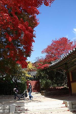 秋の釜山の楽しみ方！