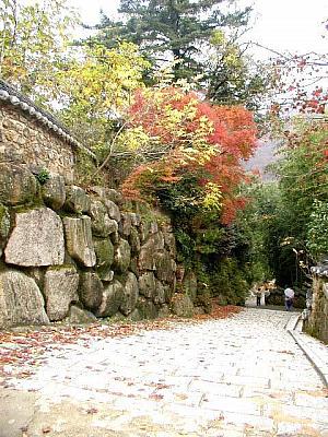秋の釜山の楽しみ方！