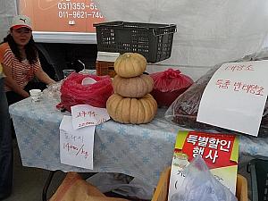 実りの秋！韓国の地方の特産物をソウルでチェック！ チャント市庁