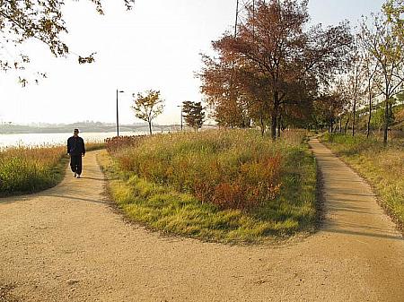 ソウルでジョギング～漢江公園を走ろう！