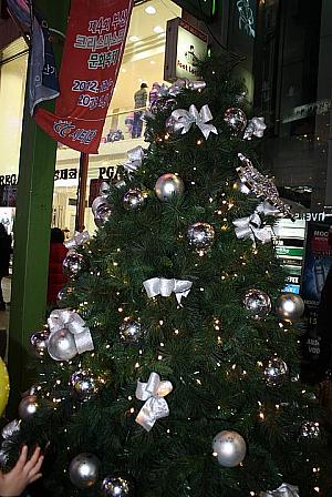釜山のクリスマスイルミネーション～写真でみる第4回釜山クリスマスツリー文化祭り イルミネーション クリスマスクリスマスツリー