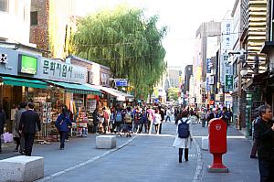 ソウル＆ソウル近郊で巡る、春のおすすめツアー！