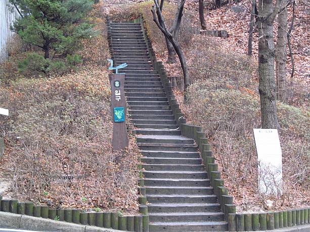 そうそう！東国大学の校内からは南山公園に続く散策路がありますよ～