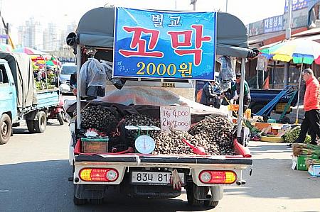 コマッ（灰貝）。アサリより少し丸っこい貝で、韓国ではポピュラー。日本ではほとんど採れなくなっています