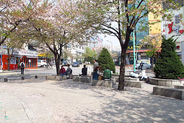 木陰で休憩する人たち。暖かいから外で座るのにも良い季節！新村の桜はもう葉桜になってきてます。
